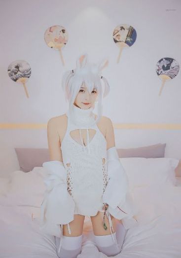 魔物娘的同居日常免费完整第一季
