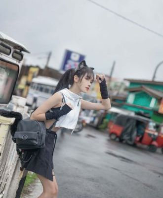 城寨英雄国语免费全集在线观看